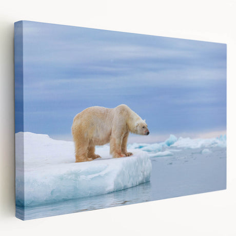 Stretched canvas featuring a polar bear design in soft white and blue hues, showcasing a serene Arctic landscape, perfect for wildlife-themed decor.