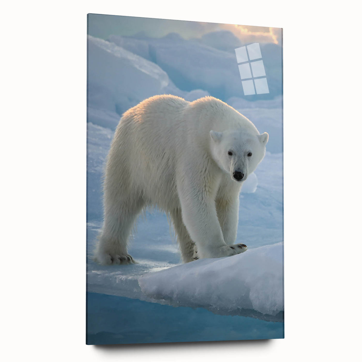 Side view of a polar bear wall art piece in acrylic glass, highlighting its vibrant colors and intricate design in a modern home setting. Perfect for animal lovers and eco-friendly decor enthusiasts.