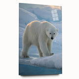 Side view of a polar bear wall art piece in acrylic glass, highlighting its vibrant colors and intricate design in a modern home setting. Perfect for animal lovers and eco-friendly decor enthusiasts.