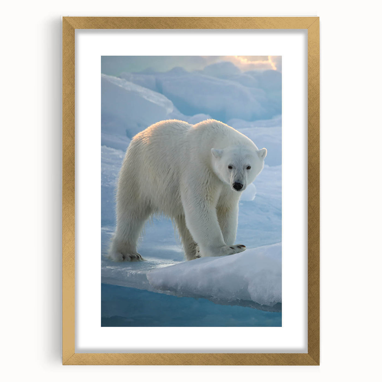 Framed wall art featuring a striking polar bear design with elegant gold accents and a white mat, ideal for enhancing modern home decor.