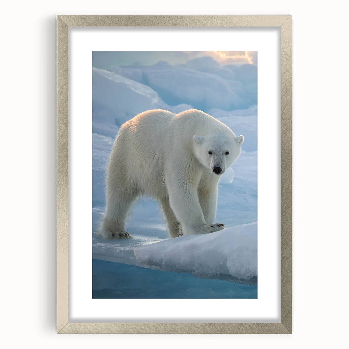 Close-up of a framed polar bear wall art piece with a silver mat, showcasing intricate details and textures, perfect for enhancing contemporary home decor.