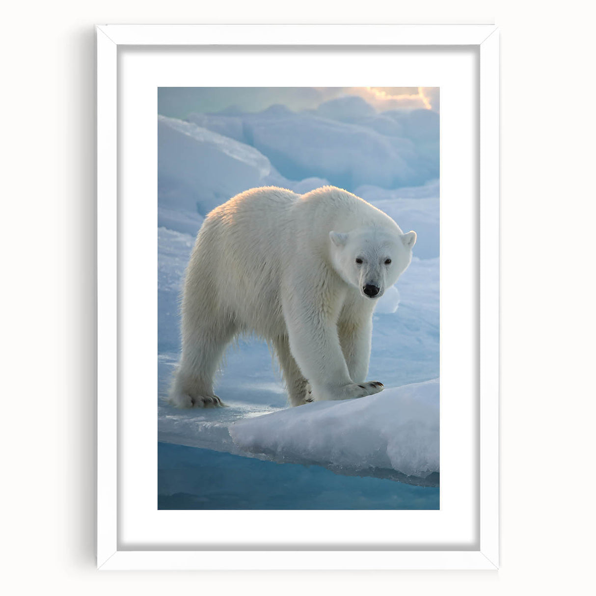 Framed wall art featuring a striking polar bear design, presented with a white mat and sleek frame, perfect for modern home decor and wildlife enthusiasts.