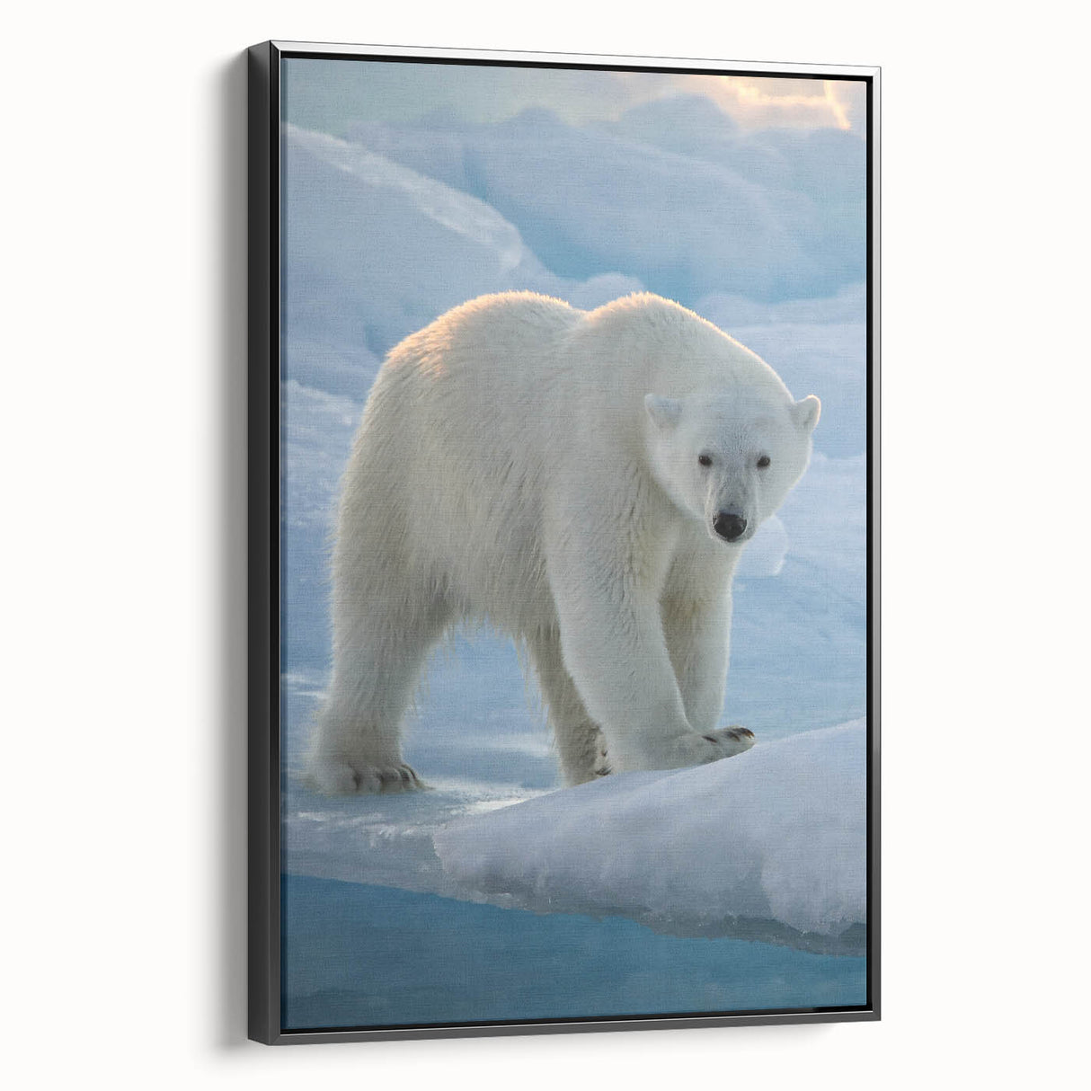 Framed canvas wall art featuring a polar bear design, showcasing a black side view. Ideal for animal lovers, this piece adds a modern touch to home decor.