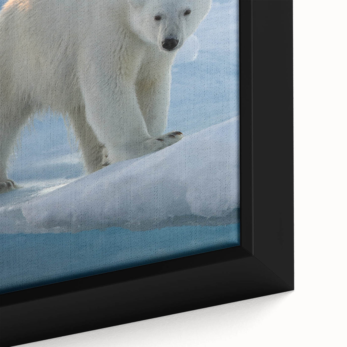 Close-up of a framed polar bear wall art piece showcasing intricate design details and vibrant colors, perfect for enhancing modern home decor aesthetics.