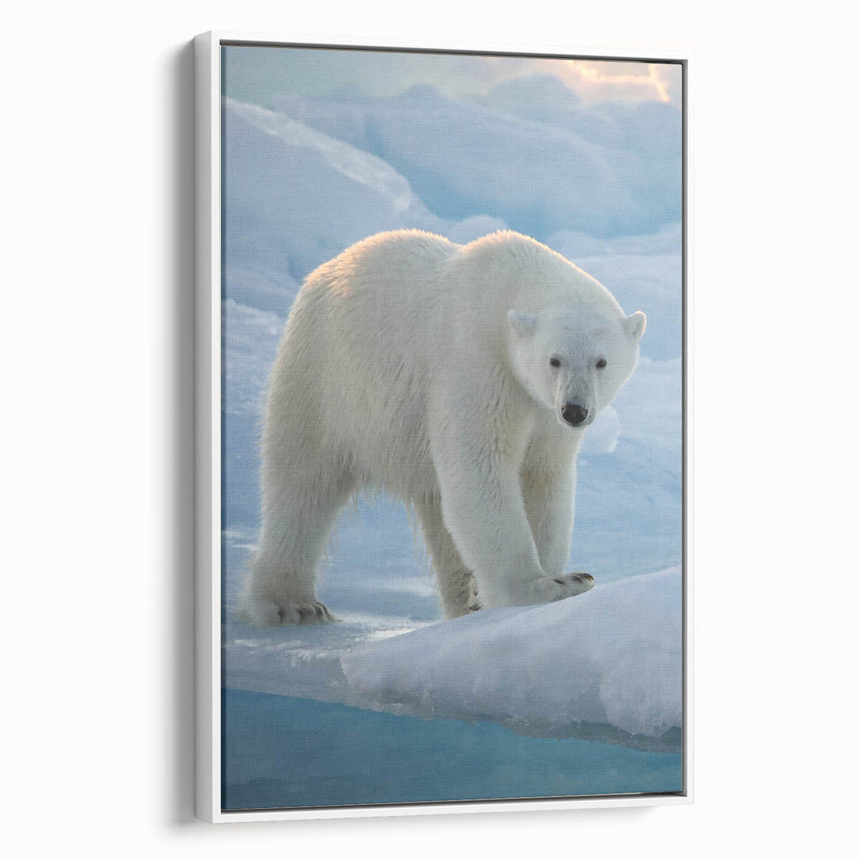 Framed canvas wall art featuring a polar bear design in a minimalist white frame, showcasing the bear in a serene pose against a neutral backdrop, ideal for modern home decor.