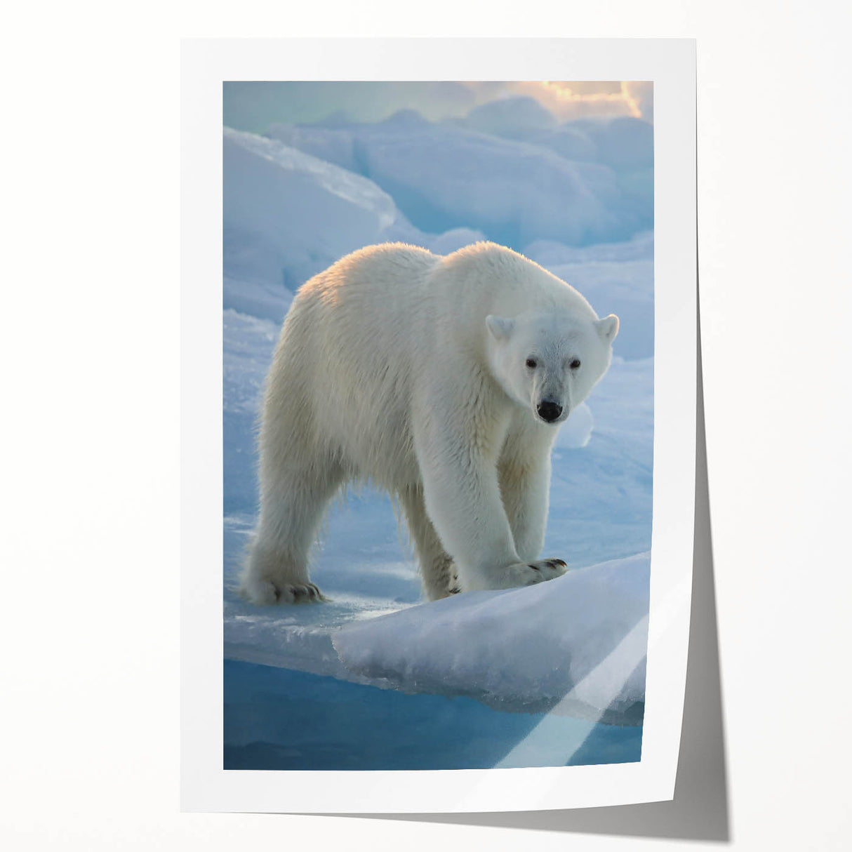 Polar bear wall art print showcasing a striking design of a majestic polar bear in a snowy landscape, ideal for wildlife enthusiasts and modern decor.