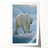 Polar bear wall art print showcasing a striking design of a majestic polar bear in a snowy landscape, ideal for wildlife enthusiasts and modern decor.