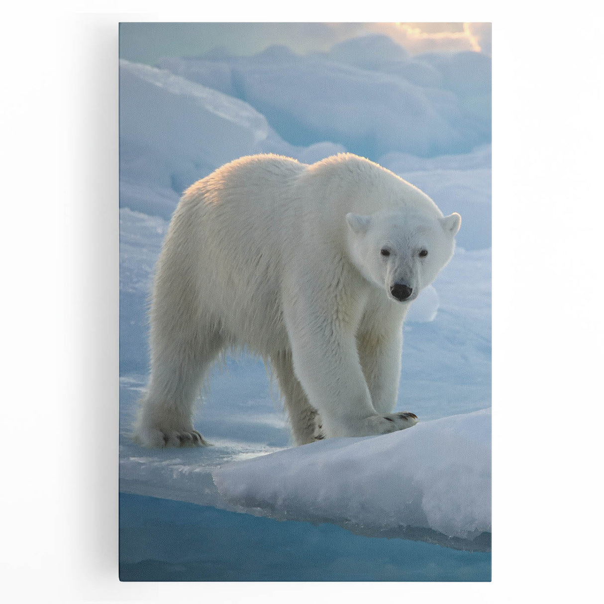 Stretched canvas wall art featuring a detailed polar bear design, showcasing its majestic fur and icy environment, perfect for nature lovers' decor.