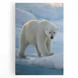 Stretched canvas wall art featuring a detailed polar bear design, showcasing its majestic fur and icy environment, perfect for nature lovers' decor.