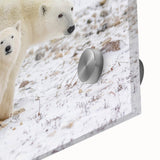Close-up of a sleek acrylic glass wall art piece featuring a stunning polar bear design, showcasing intricate details and vibrant colors, perfect for modern decor.