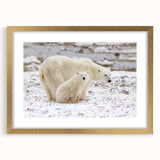 Framed polar bear wall art design in gold, showcasing a striking illustration of a polar bear against a neutral background, ideal for contemporary home decor.