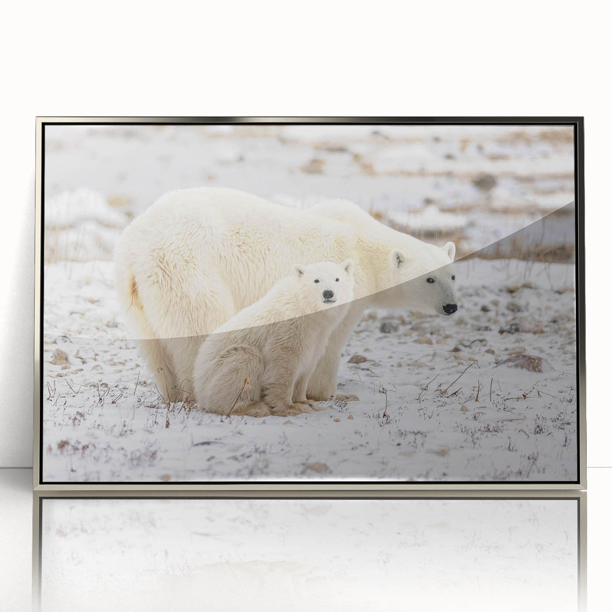 Framed wall art featuring a polar bear design, showcasing intricate details and a sleek silver frame, perfect for modern home decor. This acrylic piece adds a touch of wildlife elegance to any room.