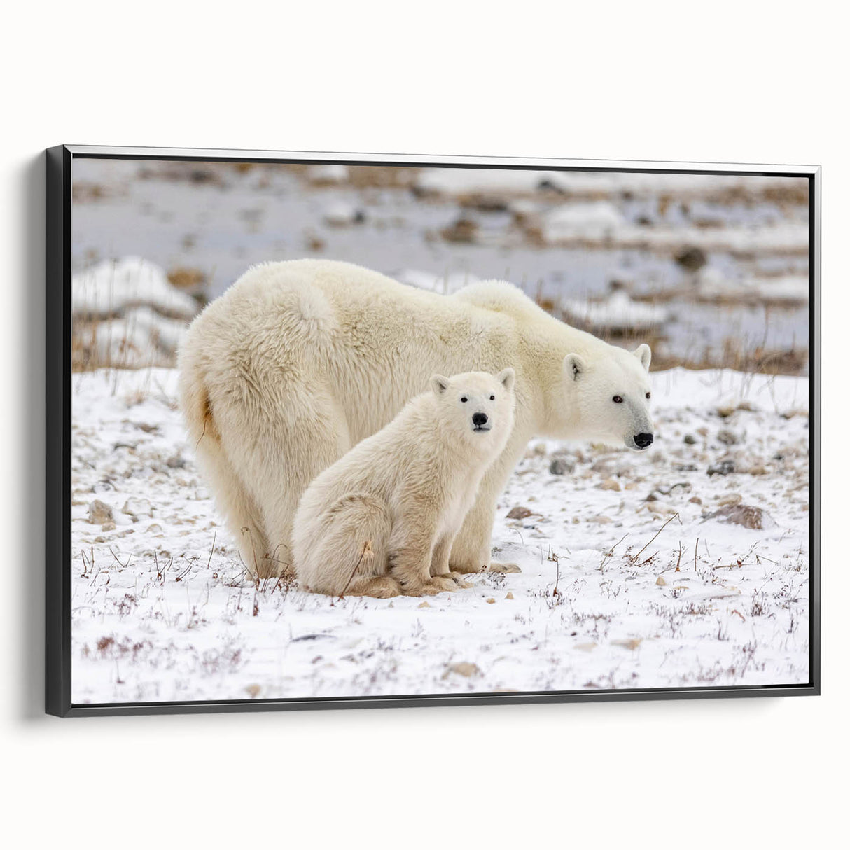 Framed wall art featuring a polar bear design on a black canvas, showcasing a side view that highlights the intricate details and vibrant colors, perfect for wildlife enthusiasts and modern decor.