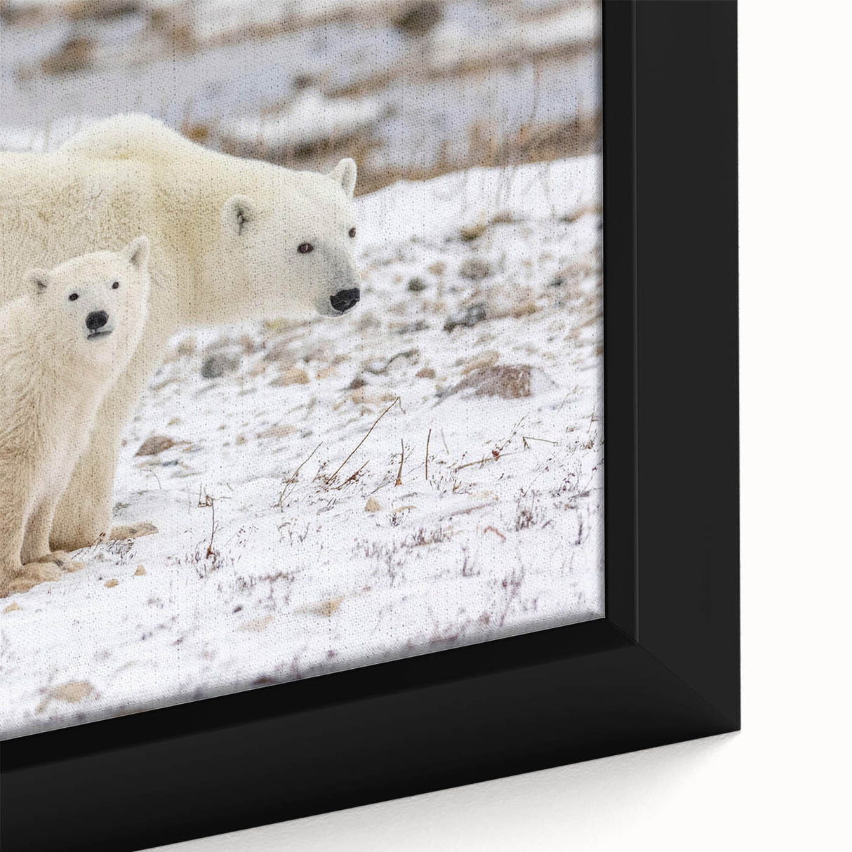 Close-up of a framed polar bear wall art piece, showcasing intricate details and vibrant colors, perfect for enhancing modern home decor and wildlife-themed interiors.
