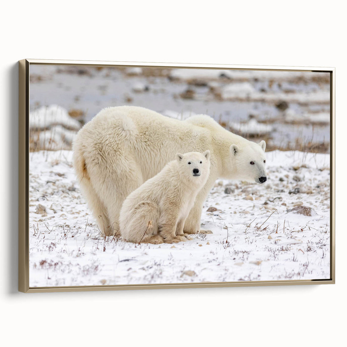 Framed canvas wall art featuring a detailed polar bear design with gold accents, set against a neutral background, ideal for modern home decor enthusiasts.