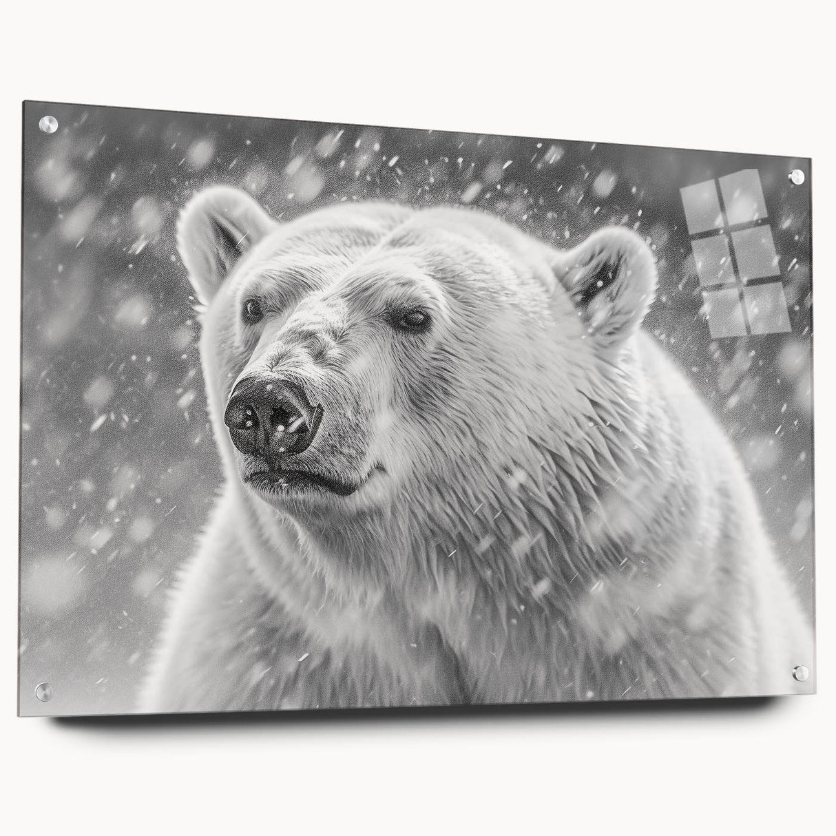 Acrylic glass wall art collection showcasing a polar bear design, viewed from the side with visible pins, perfect for modern home decor. Ideal for animal lovers and nature enthusiasts.