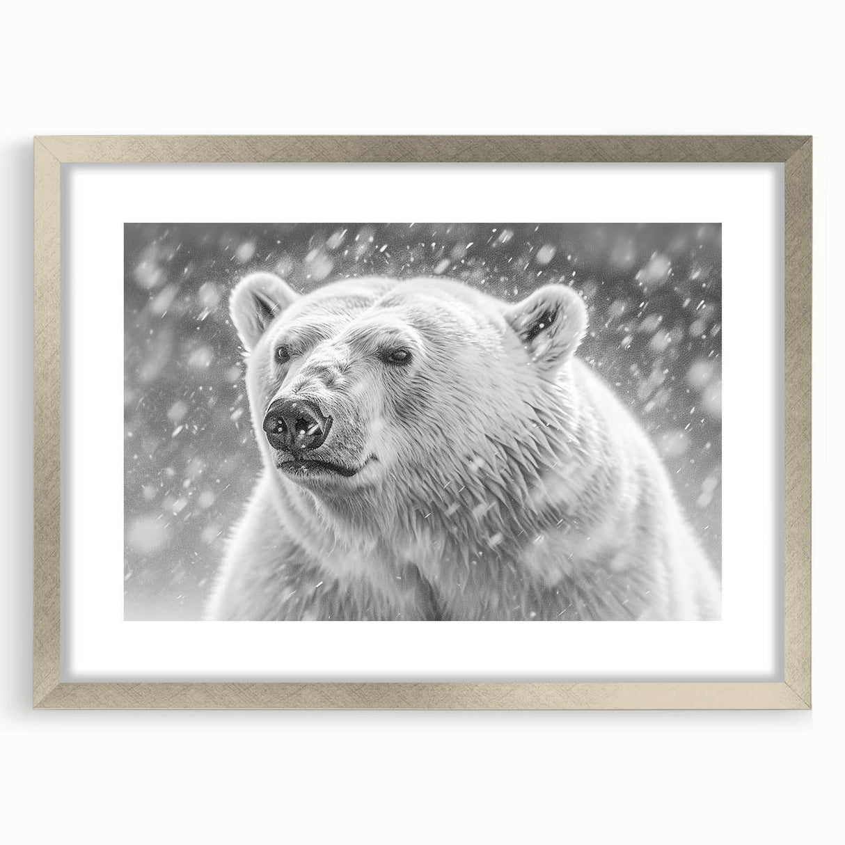 Framed polar bear wall art design with a silver mat, showcasing a serene Arctic scene; perfect for adding a touch of nature to home decor.