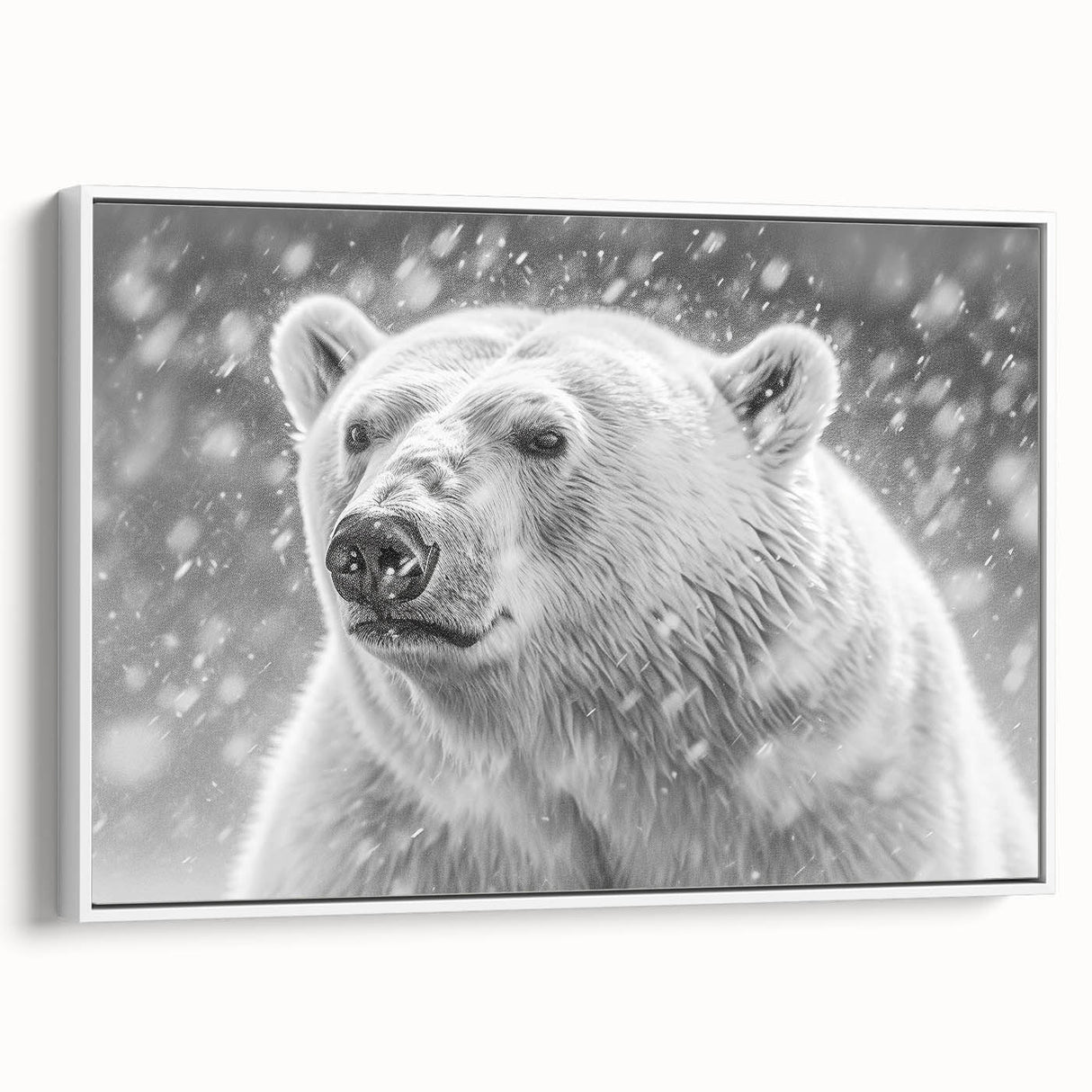 Framed canvas wall art showcasing a polar bear design, featuring a white background and a side view perspective, ideal for nature-themed home decor.