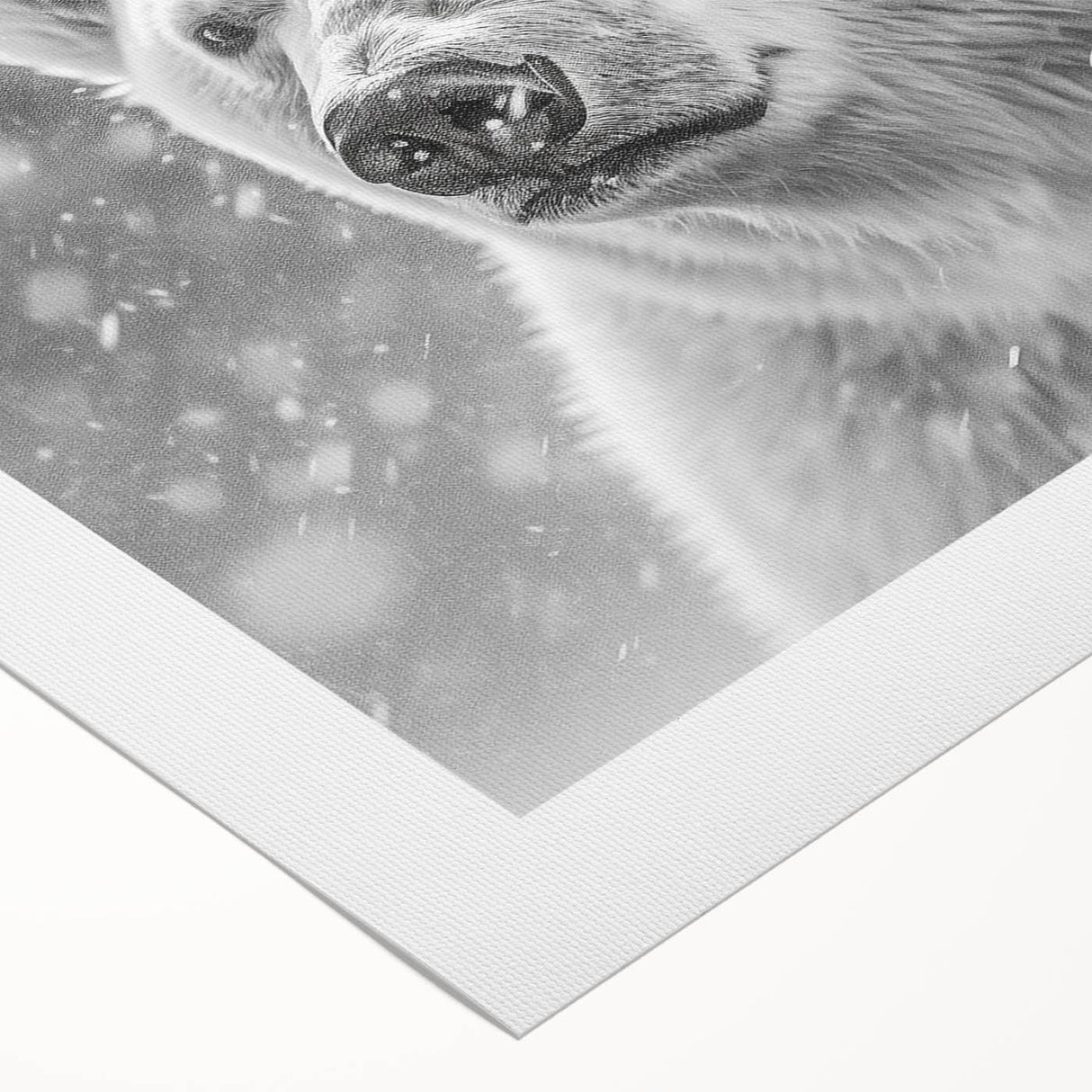 Polar bear wall art design on rolled canvas, showcasing a serene polar bear against a snowy landscape. Ideal for adding a touch of nature to home decor.