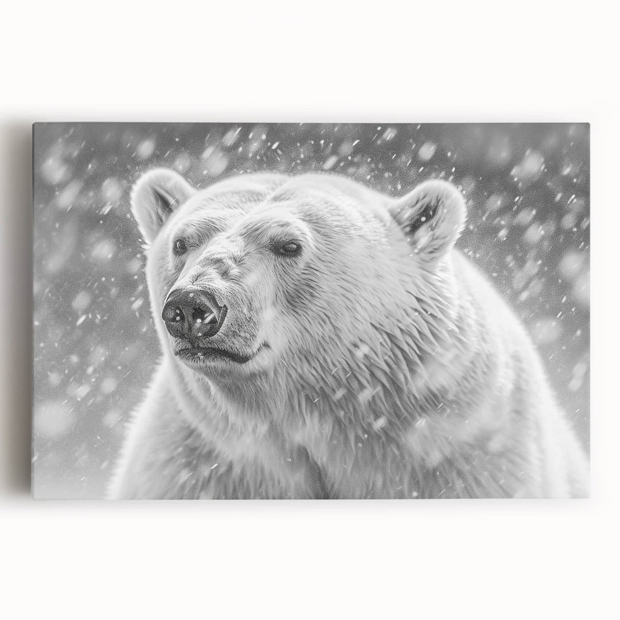 Stretched canvas wall art showcasing a detailed polar bear design, featuring soft white fur and a serene icy background, perfect for wildlife enthusiasts.