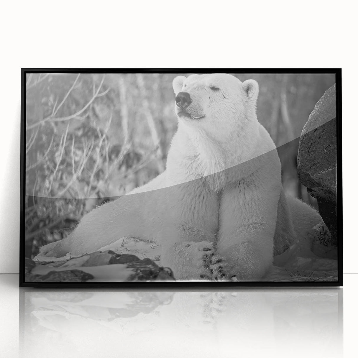Framed acrylic wall art featuring a striking polar bear design in black, showcasing a modern aesthetic. Ideal for wildlife enthusiasts and contemporary decor.