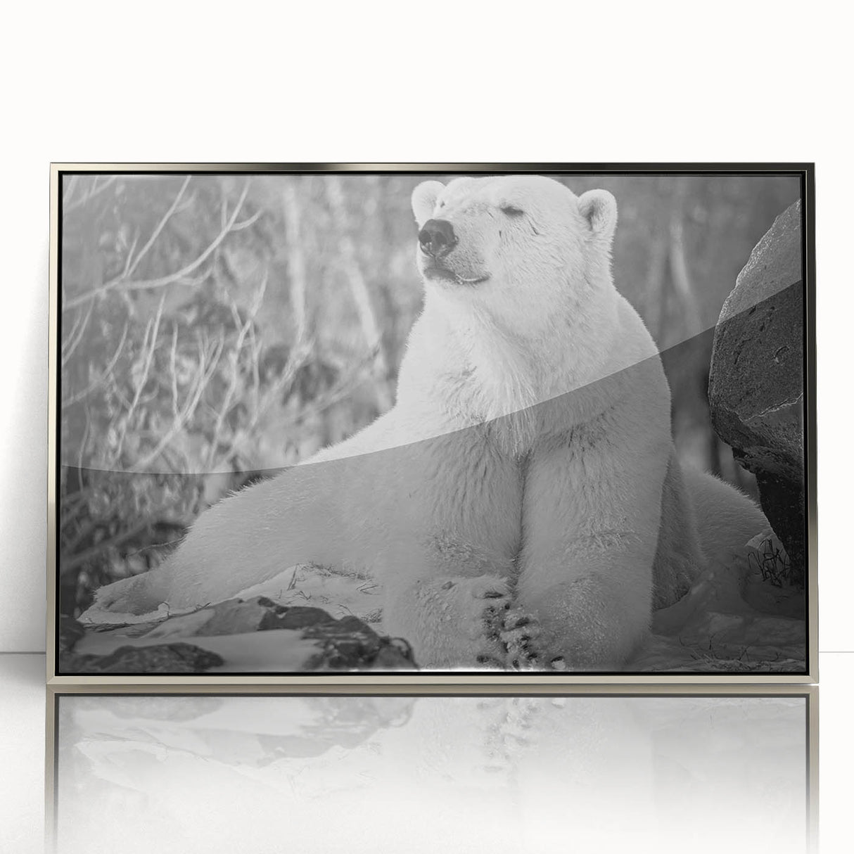 Framed acrylic wall art featuring a stylish polar bear design in silver, showcasing a modern aesthetic. Ideal for nature lovers and contemporary decor enthusiasts.