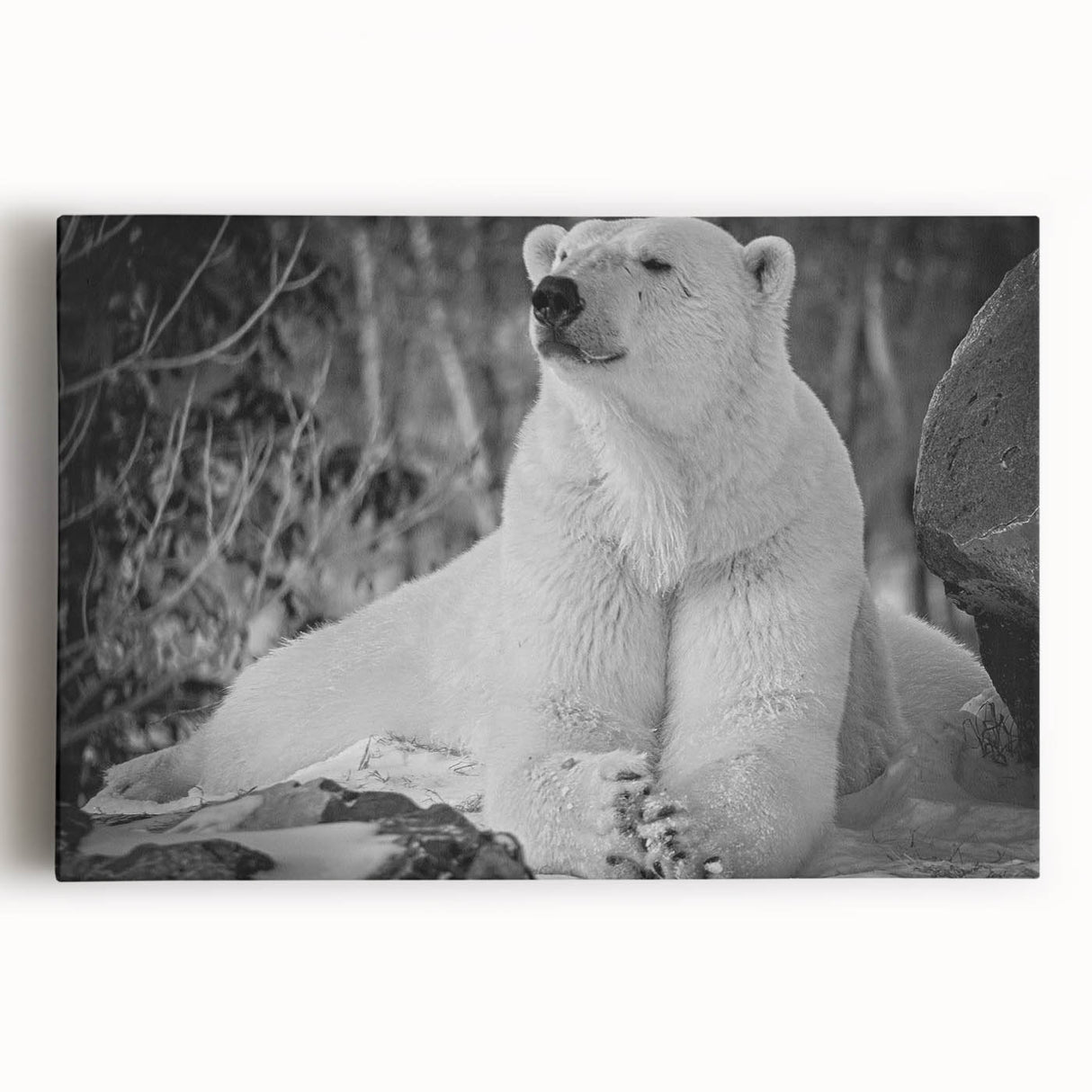 Stretched canvas wall art featuring a striking polar bear design in soft blues and whites, ideal for adding a modern wildlife touch to home decor.
