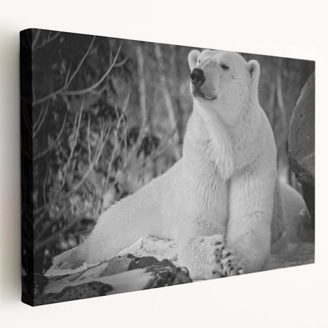 Polar bear wall art design showcased on a stretched canvas, featuring a serene arctic landscape with soft blue tones, ideal for modern home decor.