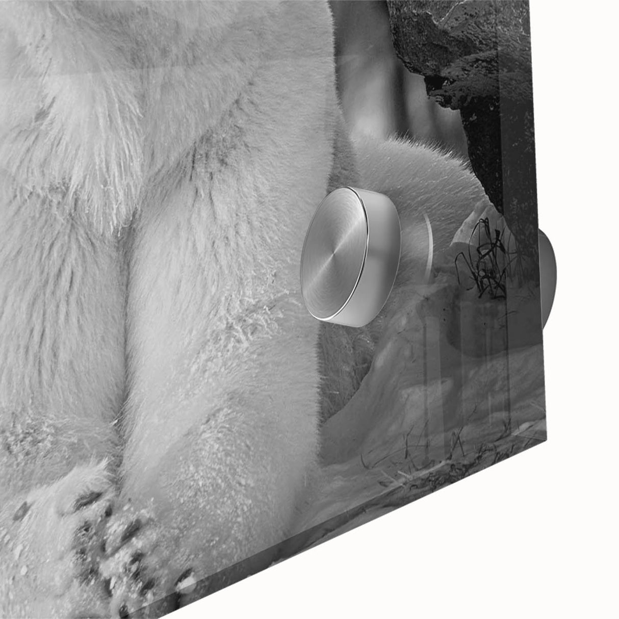 Close-up of a polar bear wall art design on acrylic glass, showcasing vibrant colors and intricate details, perfect for modern home decor and wildlife enthusiasts.