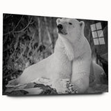 Side view of a polar bear wall art design displayed on acrylic glass, showcasing vibrant colors and intricate details, ideal for wildlife-themed decor.
