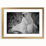 Polar bear wall art design featuring an elegant gold frame and mat, showcasing a serene winter landscape; perfect for modern home decor enthusiasts.
