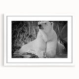 Polar bear-themed wall art collection framed with a white mat, showcasing a striking front view design that adds a modern touch to home decor. Perfect for wildlife enthusiasts.