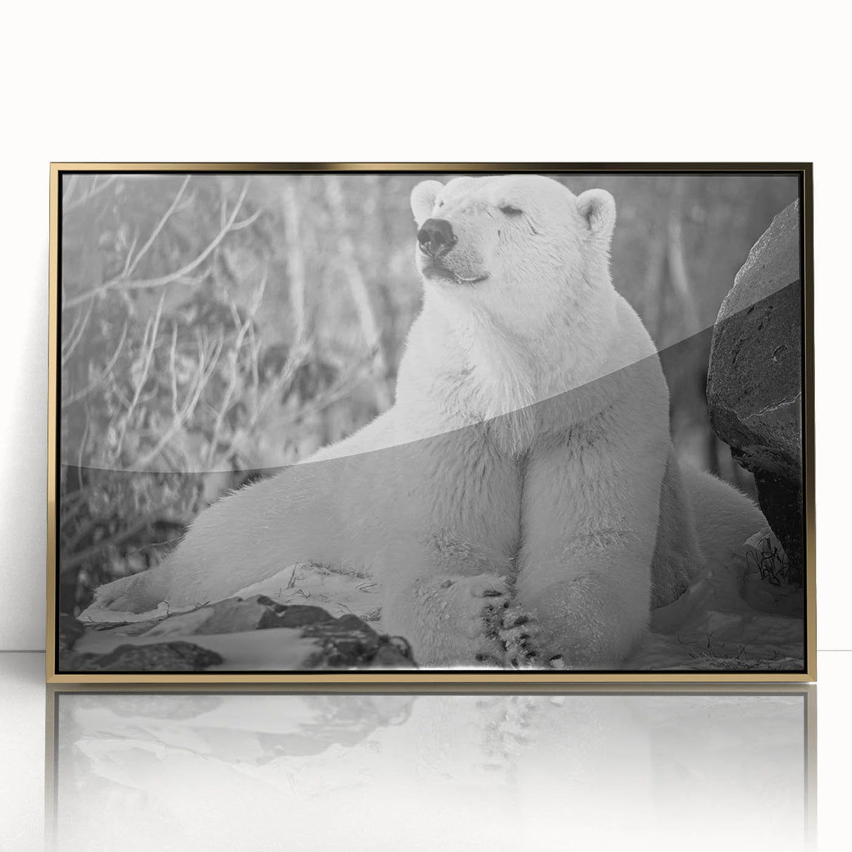 Framed wall art showcasing a polar bear design in a striking acrylic finish with a gold frame, perfect for adding a touch of elegance to modern home decor.