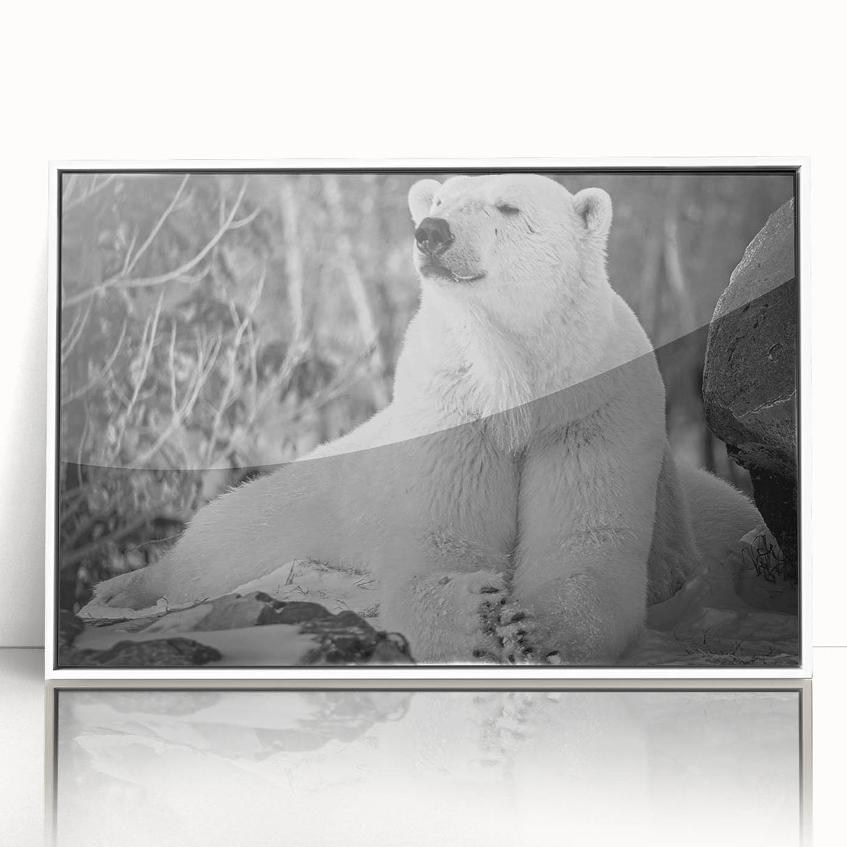 Framed acrylic wall art featuring a striking polar bear design, showcasing intricate details and a white frame, perfect for enhancing modern decor.