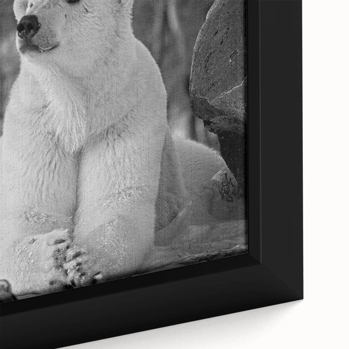 Framed canvas wall art showcasing a detailed close-up of a polar bear design, featuring vibrant colors and intricate textures, perfect for wildlife enthusiasts.