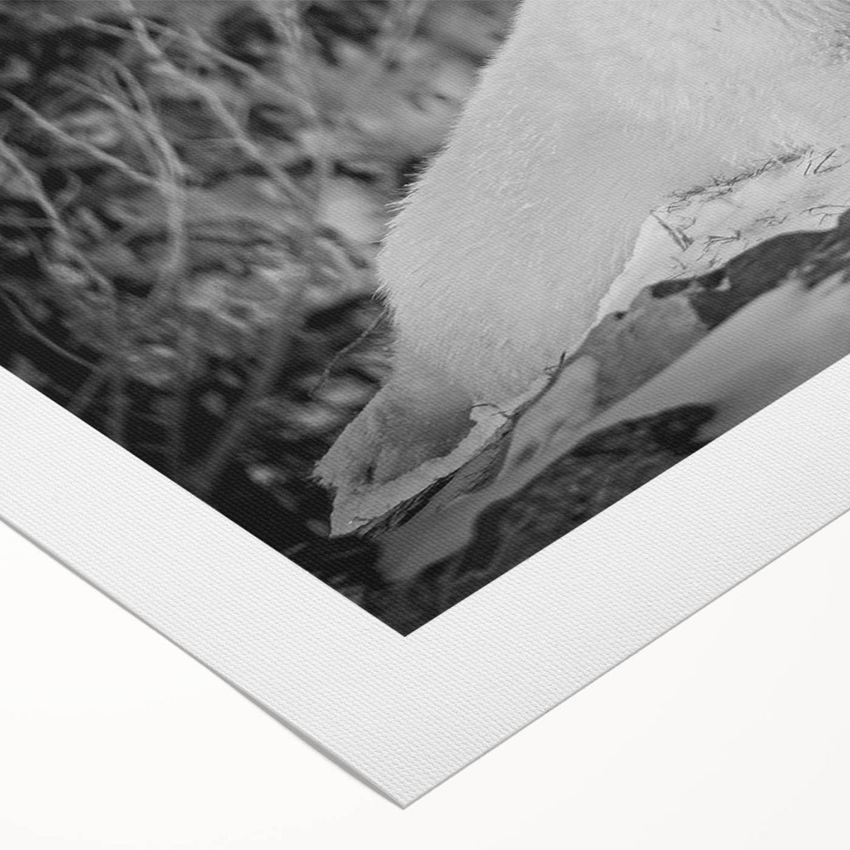 Polar bear wall art featuring a striking design, printed on rolled canvas with a vibrant color palette, perfect for home decor enthusiasts and wildlife lovers. Ideal for adding a touch of nature to any room.