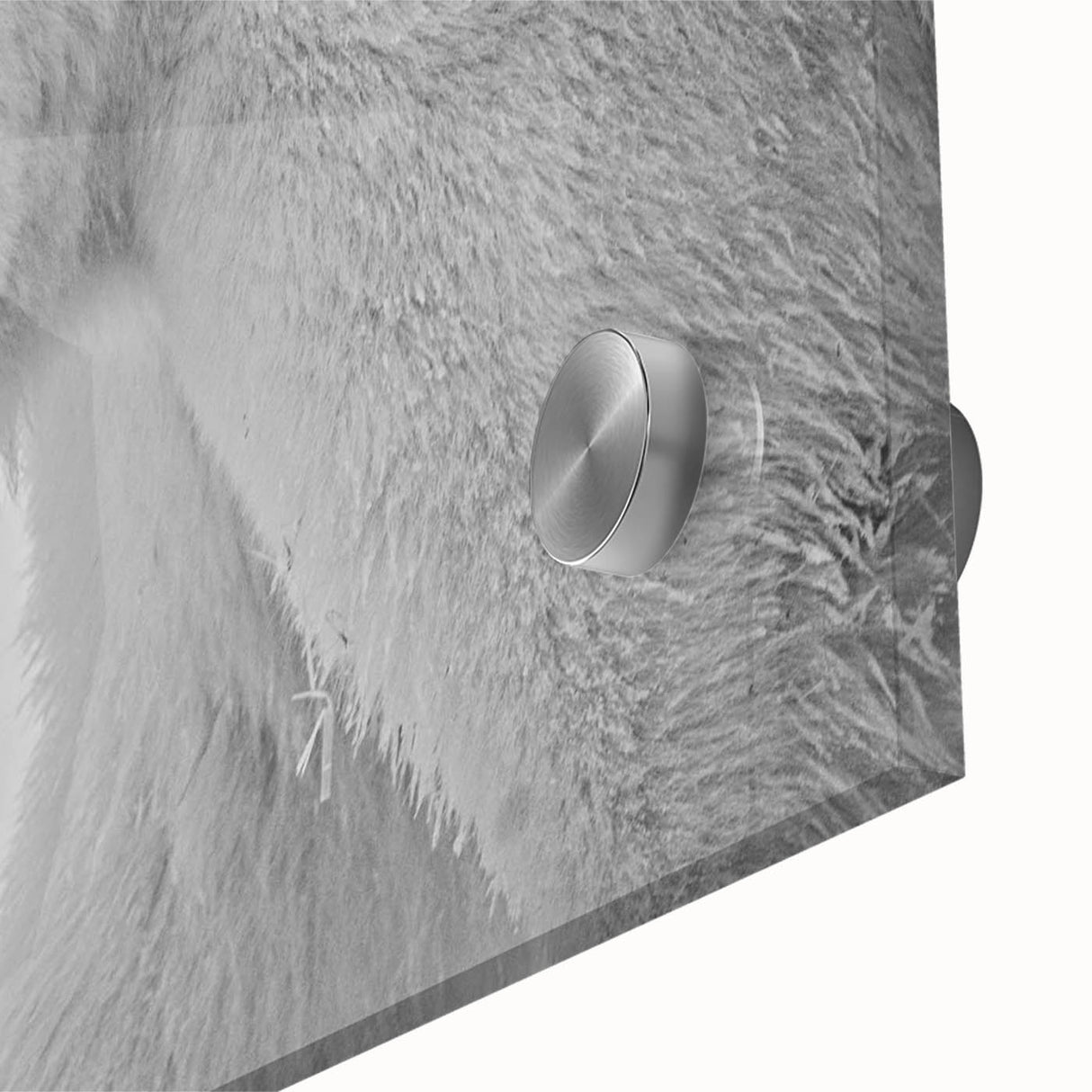 Close-up of a polar bear wall art design showcasing intricate details on acrylic glass, featuring vibrant colors and textures, perfect for modern decor.