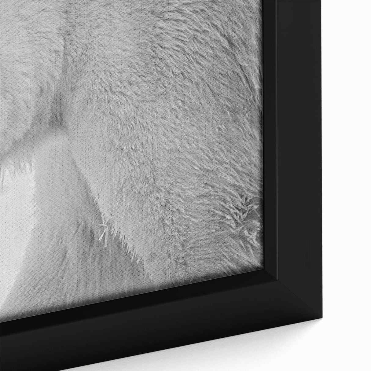 Close-up view of a framed polar bear wall art design on canvas, showcasing intricate details and vibrant colors, perfect for wildlife enthusiasts and modern decor.