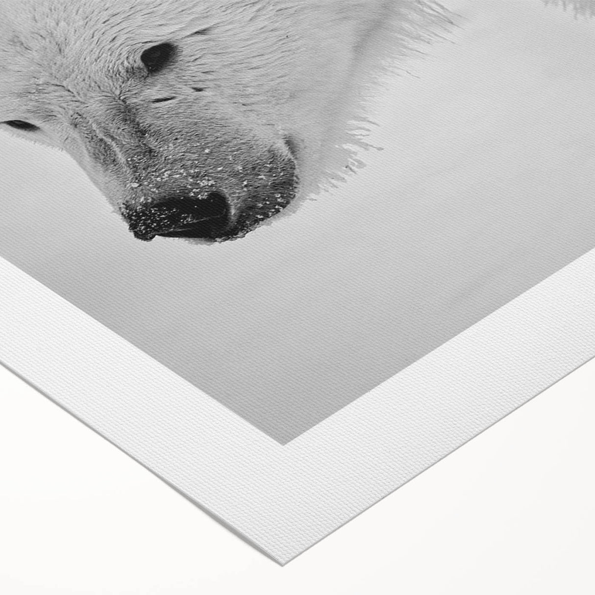 Polar bear wall art design on rolled canvas, showcasing intricate details and vibrant colors, perfect for adding a touch of nature to home decor. Ideal for wildlife enthusiasts and art collectors.
