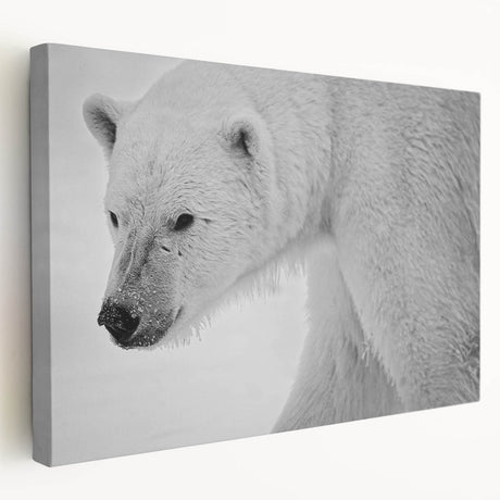 Stretched canvas wall art featuring a detailed polar bear design, showcasing a side view of the bear against a minimalist background, ideal for wildlife decor.