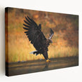 Stretched canvas wall art showcasing a vibrant birds of prey design, featuring intricate details in bold colors, perfect for enhancing any living space.