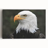 Stretched canvas wall art featuring a vibrant birds of prey design in vivid colors, ideal for nature enthusiasts and home decor, showcasing intricate details and textures.