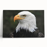 Stretched canvas wall art featuring a vibrant birds of prey design, showcasing intricate details and rich colors, ideal for enhancing any living space or office decor.