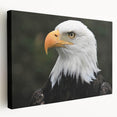 Stretched canvas wall art showcasing an intricate bird design with vibrant colors, ideal for home decor. Perfect for nature lovers and art enthusiasts.