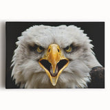 Vibrant birds of prey wall art design on stretched canvas, showcasing bold colors and intricate details, perfect for enhancing any living space decor.