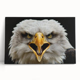 Vibrant, stretched canvas wall art featuring a colorful birds of prey design, elegantly leaning against a wall, perfect for nature-themed home decor.
