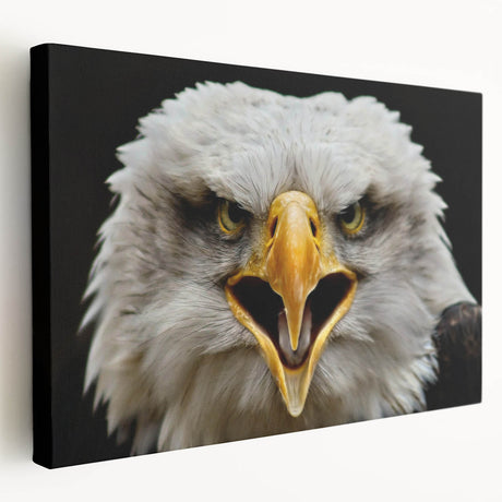 Stretched canvas art featuring a vibrant, abstract design of birds in flight with rich colors, ideal for enhancing home decor and artistic spaces.