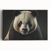 Stretched canvas wall art depicting vibrant birds in flight against a serene background, showcasing intricate details and bold colors, perfect for home decor.