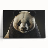 Stretched canvas wall art featuring a vibrant birds of prey design, showcasing colorful illustrations of eagles and hawks, perfect for nature enthusiasts.