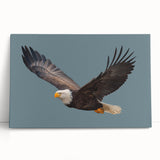 Stretched canvas wall art showcasing a vibrant bird-themed design with intricate details and colorful plumage, ideal for enhancing home decor.